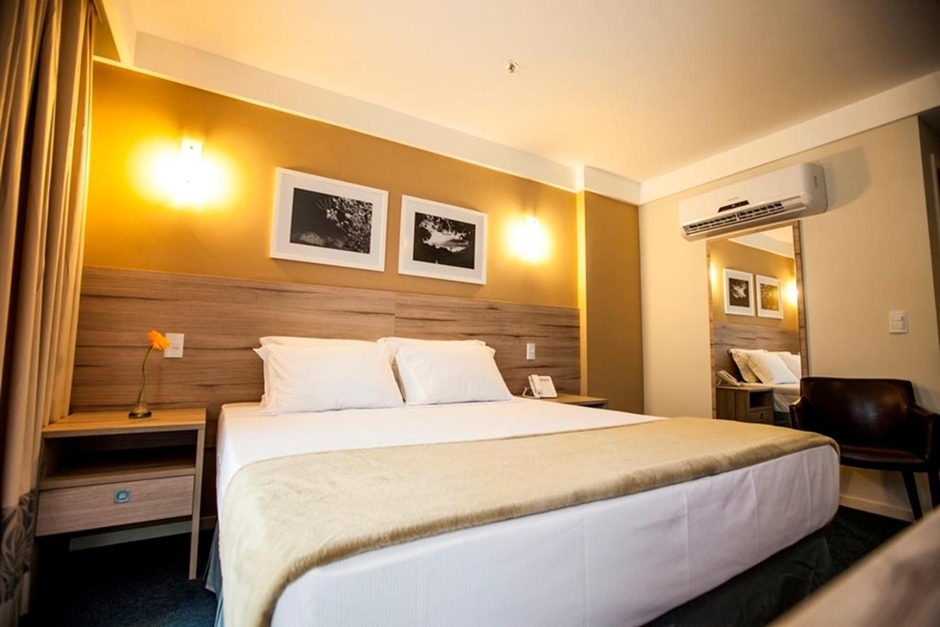 Premium Double 1 King Bed 1 Sofa bed